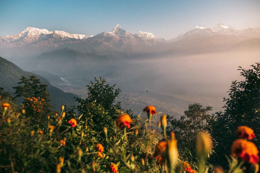 Picture 1 for Activity Pokhara: Peace Pagoda Sunset, Annapurna Mountain Views Tour