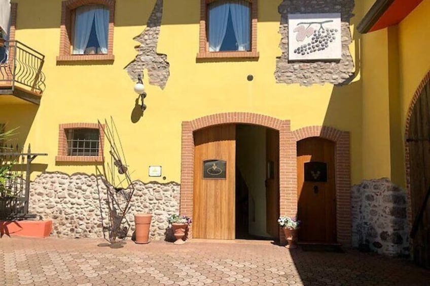 Experience tasting of 5 Garda wines and olive oil in Valeggio
