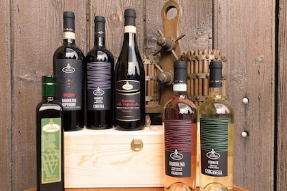 Experience tasting of 5 Garda wines and olive oil in Valeggio