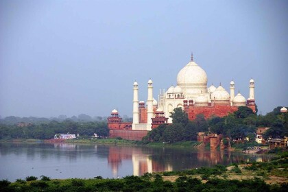 Från Jaipur: Taj Mahal soluppgång och Agra Fort privat resa