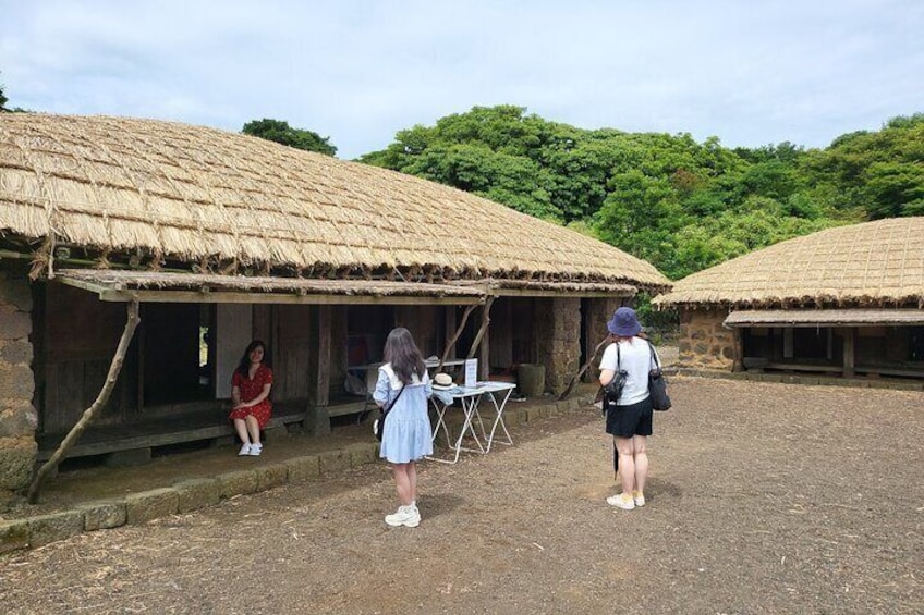 Private Tour in South and East in jeju island