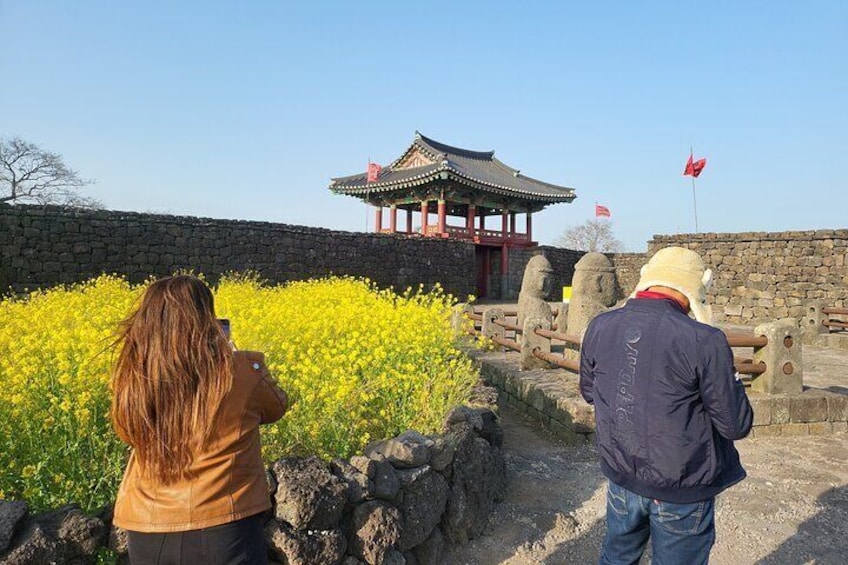 Private Tour in South and East in jeju island