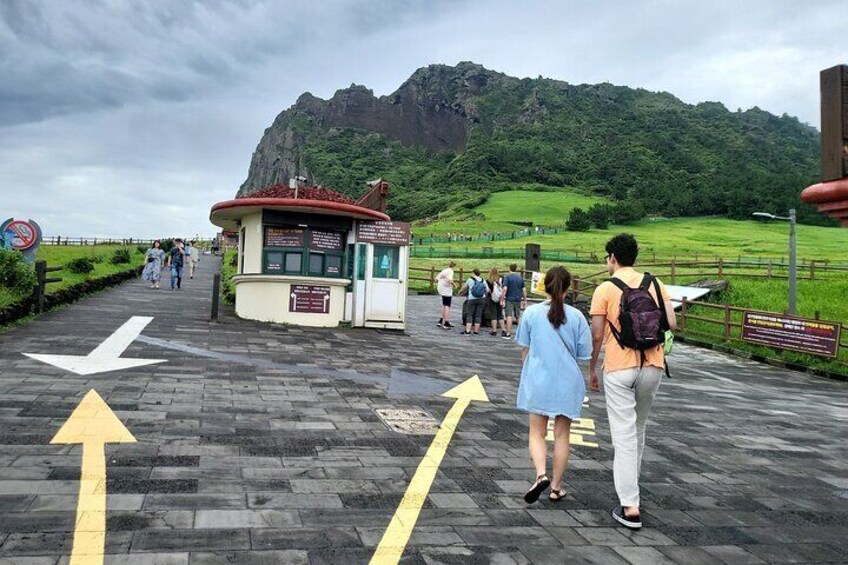 Private Tour in South and East in jeju island 