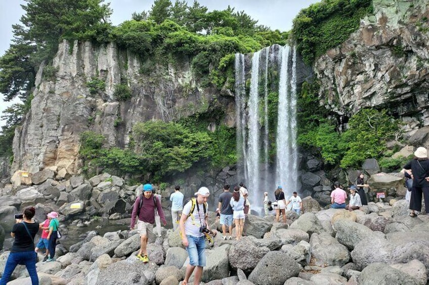 Private Tour in South and East in jeju island 