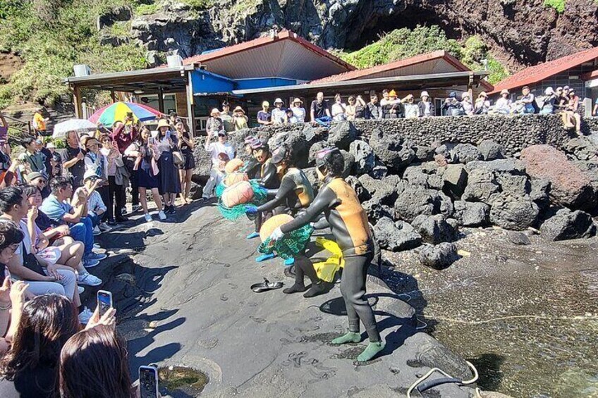 Private Tour in South and East in jeju island