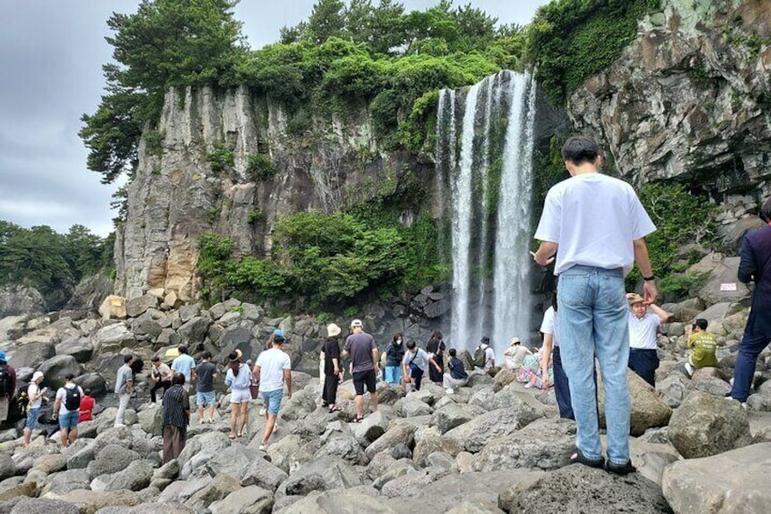 Private Tour in South and East in jeju island 