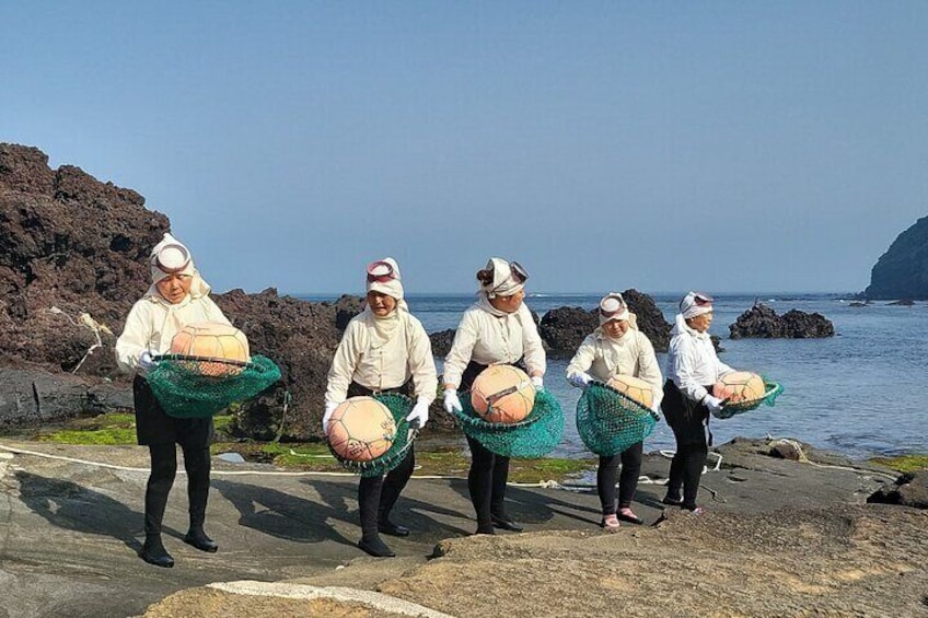 Private Tour in South and East in jeju island 