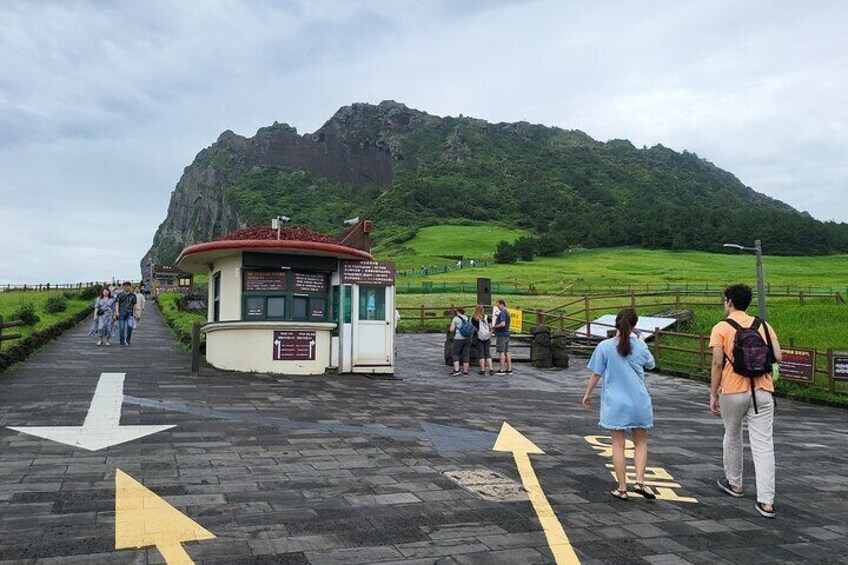 Private Tour in South and East in jeju island