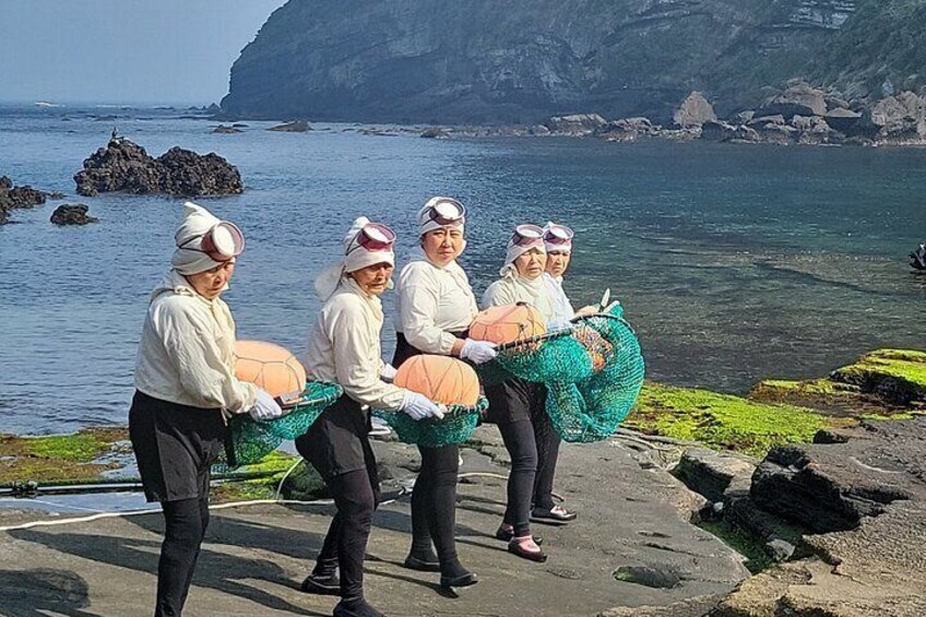 Private Tour in South and East in jeju island