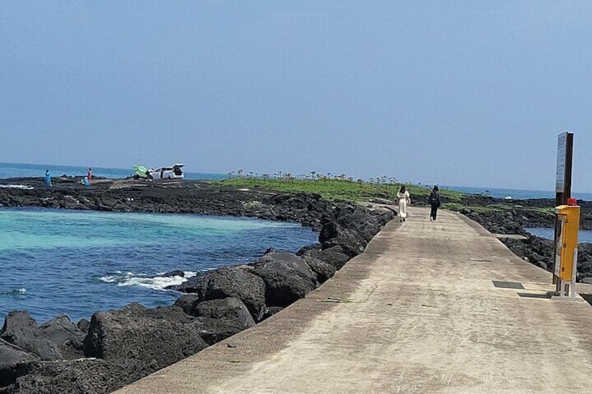 Private Tour in South and East in jeju island 