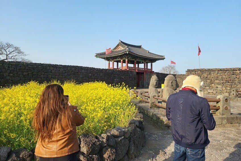 Private Tour in South and East in jeju island 