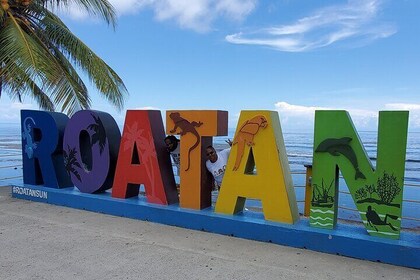 Roatan Chocolate Factory Rum Factory and Beach Day Tour