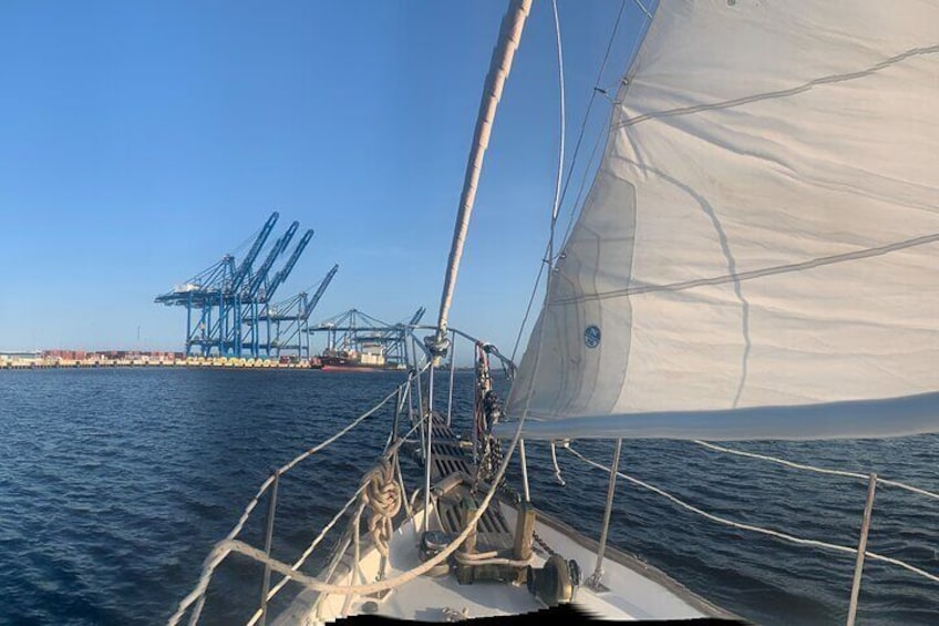 Sailing Charters in Wilmington