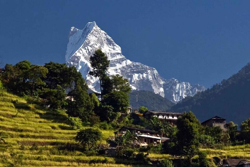 Picture 18 for Activity Pokhara: 2-Day Guided Trek to Poon Hill with Sunrise