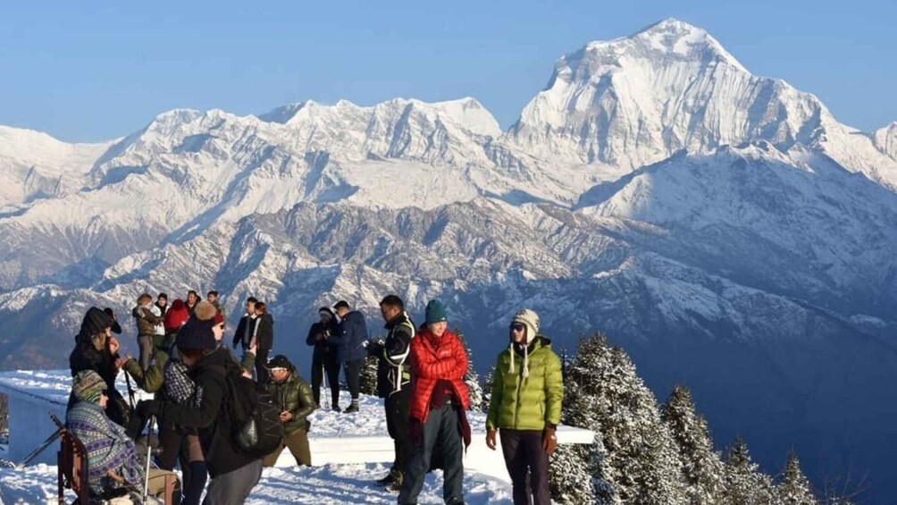 Picture 32 for Activity From Pokhara: 2-Day Ghorepani & Poon Hill Sunrise Trek
