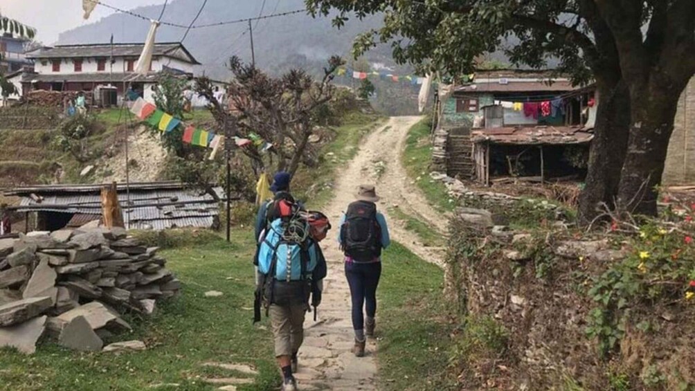 Picture 21 for Activity From Pokhara: 2-Day Ghorepani & Poon Hill Sunrise Trek