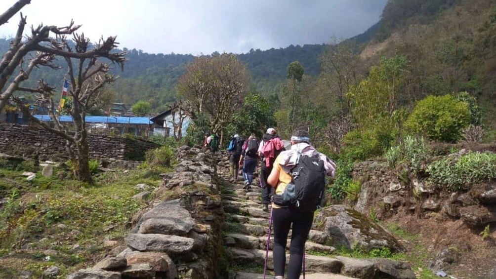 Picture 12 for Activity From Pokhara: 2-Day Ghorepani & Poon Hill Sunrise Trek