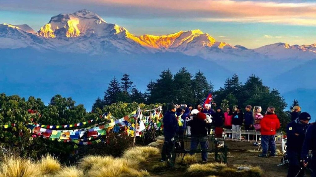 Picture 12 for Activity Pokhara: 2-Day Guided Trek to Poon Hill with Sunrise