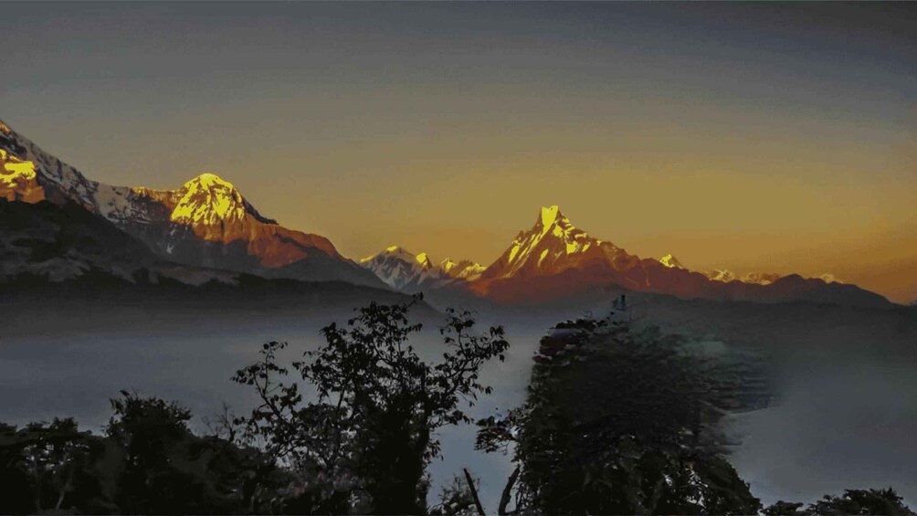 Picture 17 for Activity From Pokhara: 2-Day Guided Poon Hill Sunrise Trek