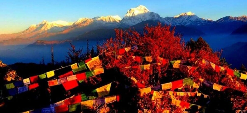 Picture 7 for Activity Scenic Adventure: 2-Day Poon Hill Trek from Pokhara