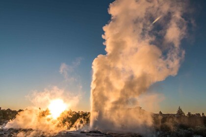 Fra Rotorua: Heldagstur til Wai-O-Tapu, Waimangu og Te Puia