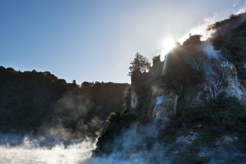 Picture 3 for Activity From Rotorua: Wai-O-Tapu, Waimangu and Te Puia Full-Day Tour