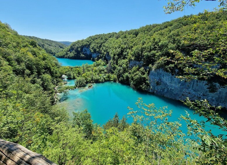 Picture 11 for Activity From Zadar: Plitvice Lakes Day Tour with Boat Ride