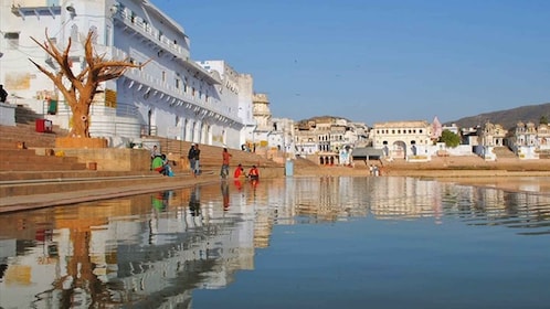 Från Jaipur: Privat dagsutflykt till Brahmatemplet och Pushkarsjön