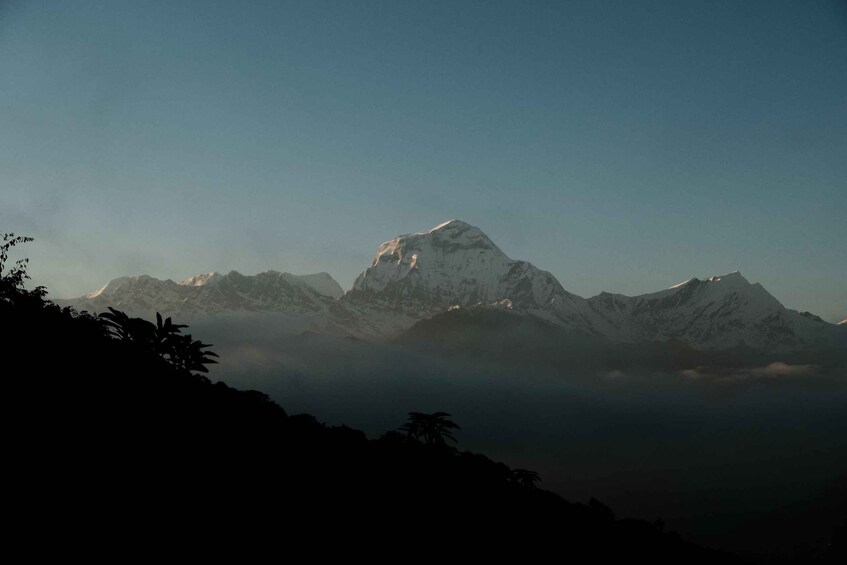 Picture 8 for Activity From Kathmandu: 6-Day Ghorepani, Poon Hill and Ghandruk Trek