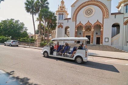 Tour histórico privado de 1 hora por San Agustín, Florida