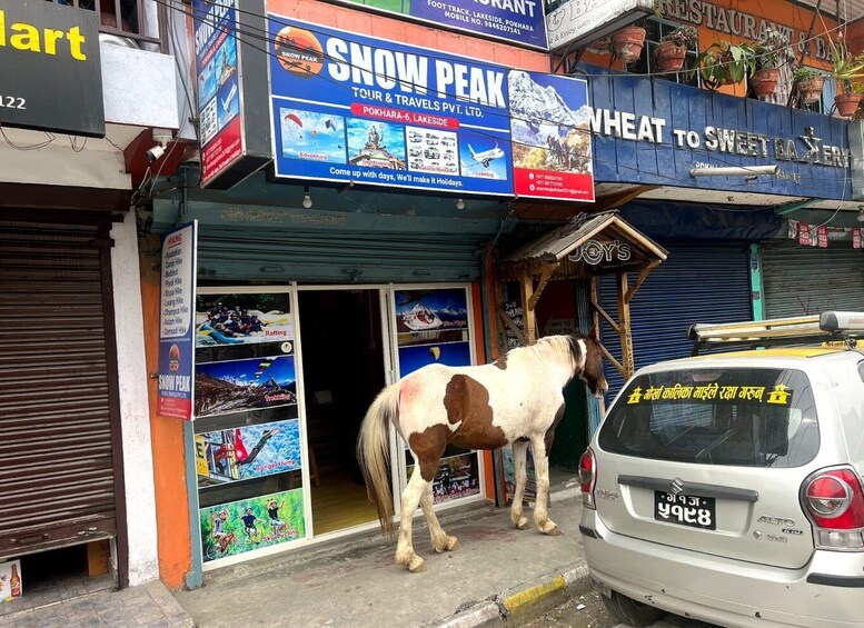 Picture 3 for Activity From Pokhara: Unforgettable Horseback Riding Adventure