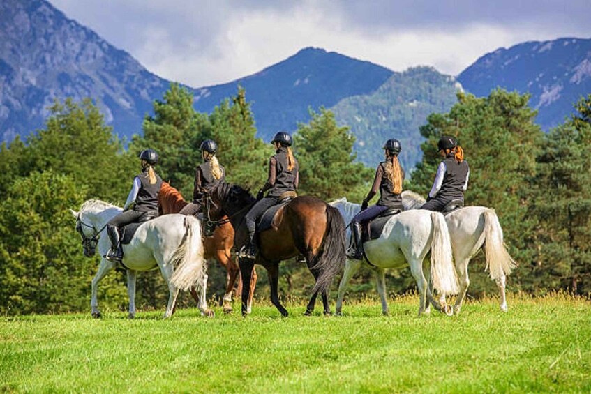 Picture 6 for Activity From Pokhara: Unforgettable Horseback Riding Adventure