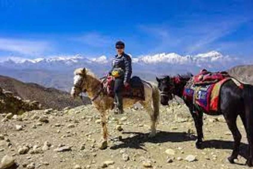 Picture 8 for Activity From Pokhara: Unforgettable Horseback Riding Adventure