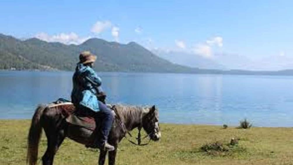 Picture 2 for Activity From Pokhara: Unforgettable Horseback Riding Adventure