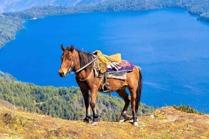 De Pokhara : Aventure inoubliable d’équitation