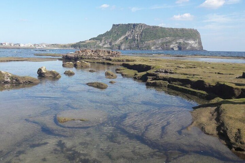 Private Half-Day Jeju Island UNESCO Tour
