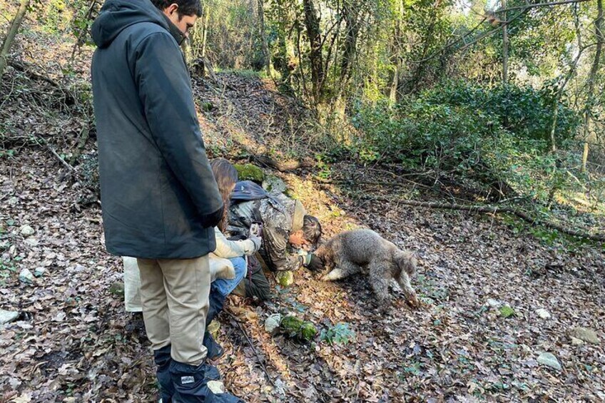 3 Hours Truffle Hunting with Pasta Cooking Class and Lunch