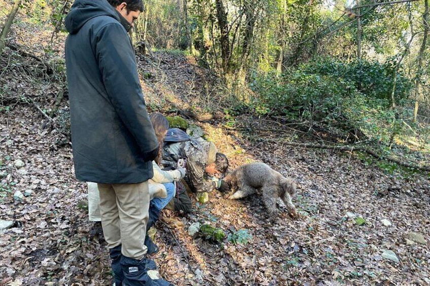 3 Hours Truffle Hunting with Pasta Cooking Class and Lunch