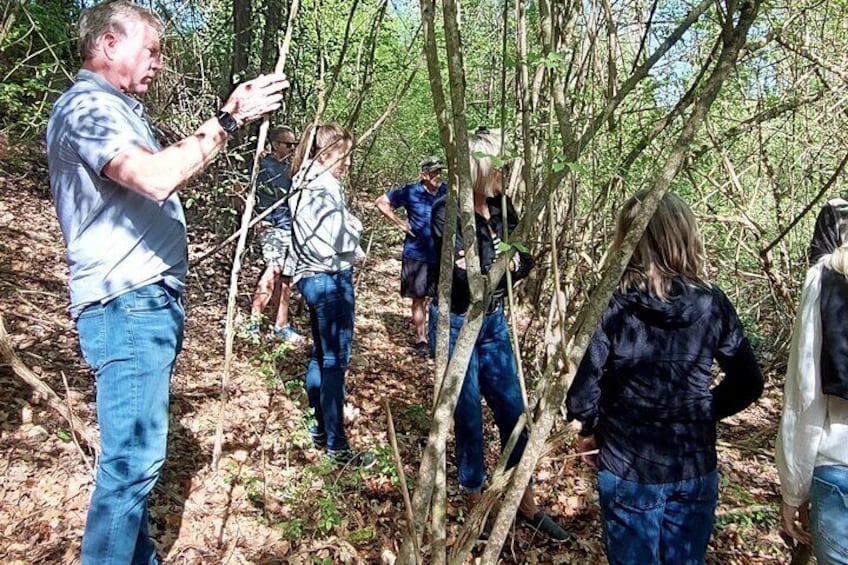 3 Hours Truffle Hunting with Pasta Cooking Class and Lunch