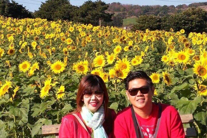 3 days Private Tour in Jeju Island
