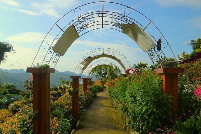 Cebu Highlands Tour(Cebu Taoist, Temple of Leah and Sirao Garden)