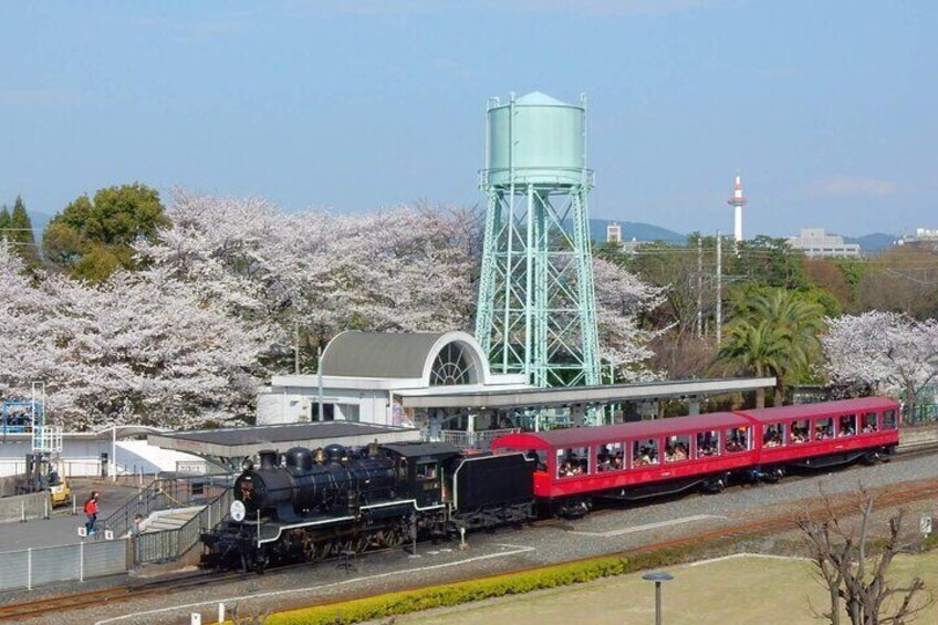 You can also enjoy Sakura at Kyoto Railway Museum