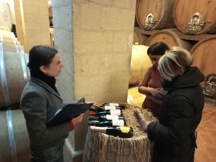 Erice & Marsala: Wine and Salt Smell Exclusive Small Group Experience