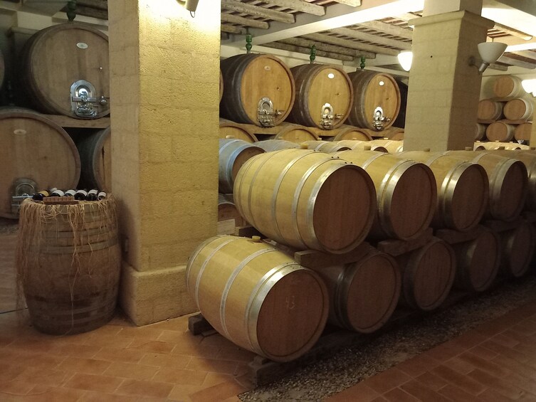 Erice & Marsala: Wine and Salt Smell Exclusive Small Group Experience