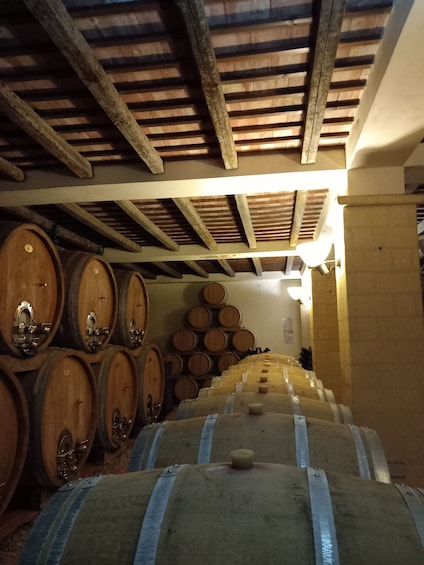 Erice & Marsala: Wine and Salt Smell Exclusive Small Group Experience