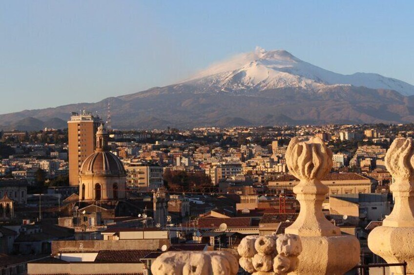 Private Tour of Etna and Messina from hotel or cruise port in Messina