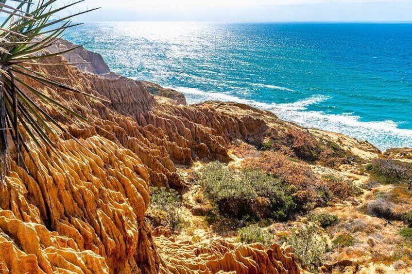 Bluffs at Torrey Pines Reserve