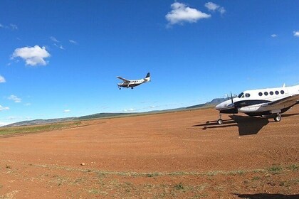 2 Days From Nairobi Maasai Mara NR Fly in Budget Tour