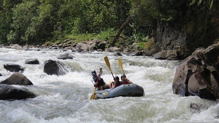 Private Rafting Adventure at Rio Sarapiqui