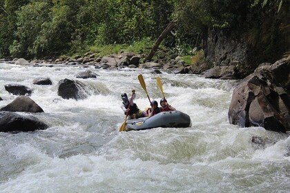Private Rafting Adventure at Rio Sarapiqui
